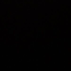 Meet your Posher, Hilton